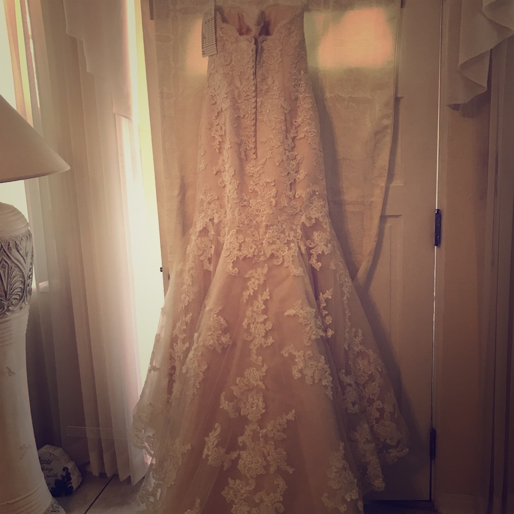 NEW and Never Worn Beautiful Wedding Dress!